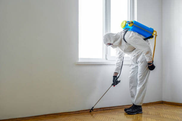 Best Residential Pest Control  in Breese, IL