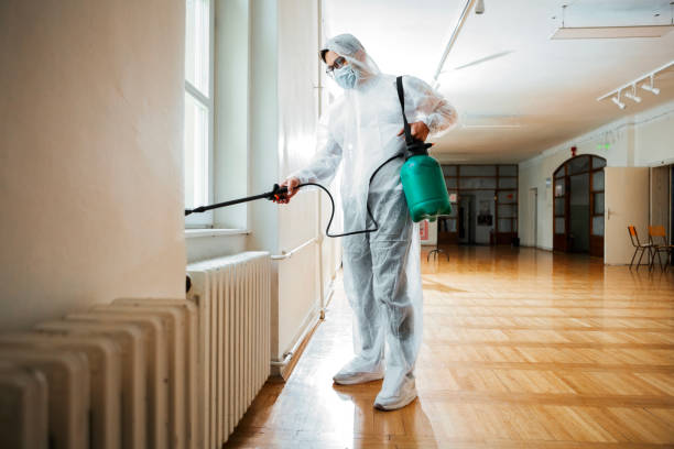 Best Local Pest Control Services  in Breese, IL